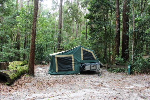 K'gari (Fraser Island) Camping, Great Sandy National Park - Accommodation Georgetown 2
