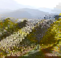 Rosetta's Garden Guesthouse - Accommodation Georgetown