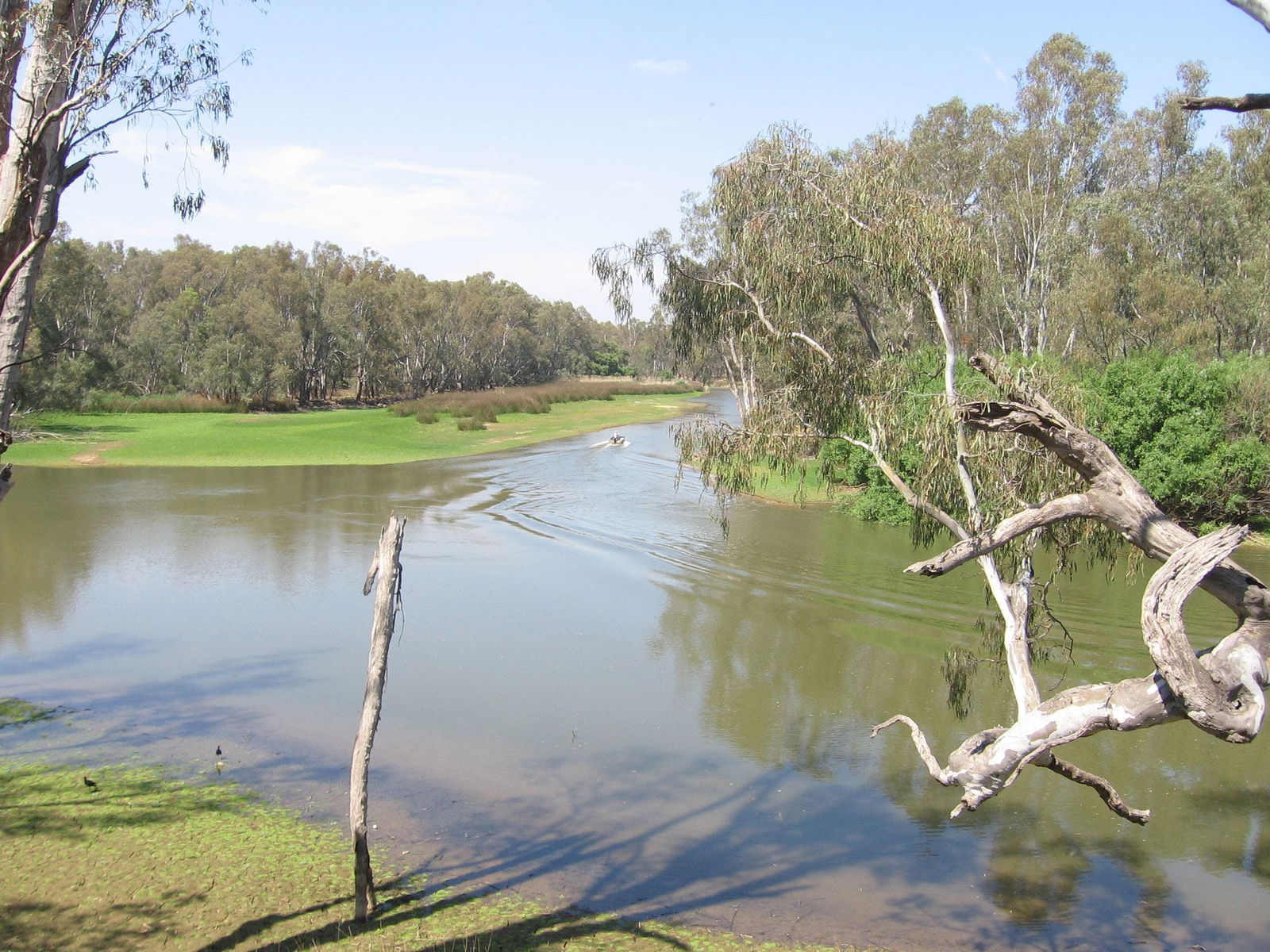 Collendina NSW Accommodation Georgetown