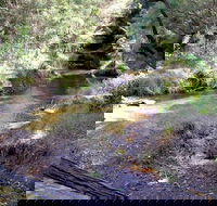 Wheeny Creek campground - Accommodation Georgetown