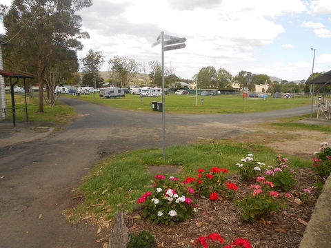 Berry Showground Camping - Accommodation Georgetown 1