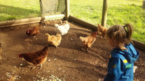 Emerald Park Holiday Farm - Accommodation Georgetown 2
