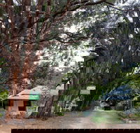 Fernleigh Accommodation - Accommodation Georgetown