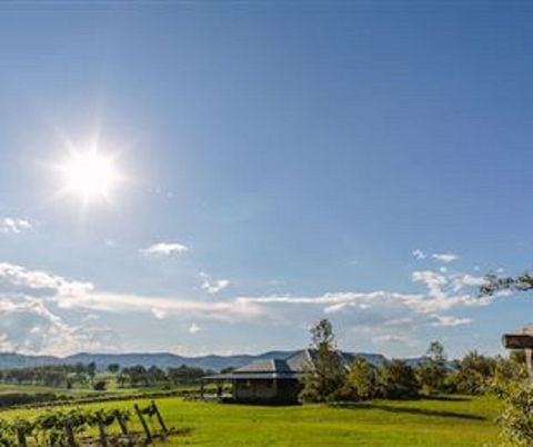 Hanging Tree Homestead - Accommodation Georgetown 0