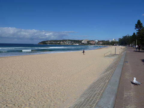 Manly Seaside Cottage - Accommodation Georgetown 0