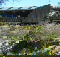 Melaleuca - Eco and Pet Friendly  Harbor Point Cabins - Accommodation Georgetown