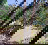 The Barracks campground - Accommodation Georgetown