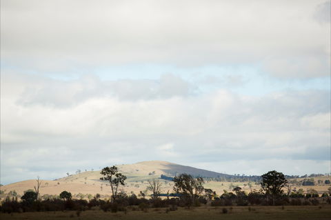 Aurelias Farm Bed And Breakfast - Accommodation Georgetown 1
