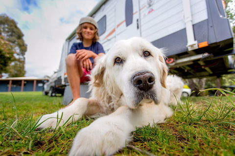 BIG4 St Helens Holiday Park - Accommodation Georgetown 2
