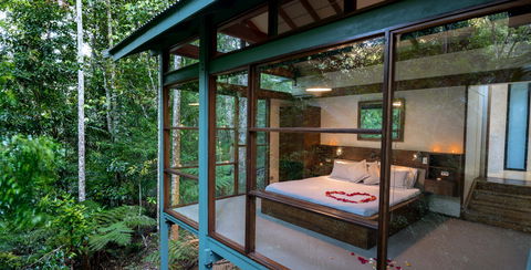 Crystal Creek Rainforest Retreat - Accommodation Georgetown 2
