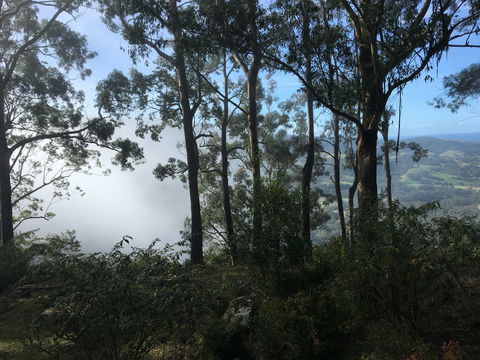 Escarpment - Accommodation Georgetown 2