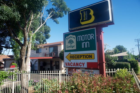 Forest Lodge Motor Inn And Restaurant - Accommodation Georgetown 0