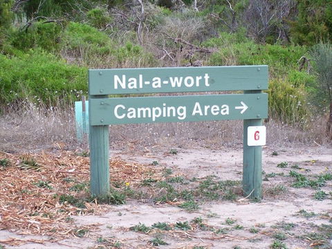 Nal-a-wort Campground - Canunda National Park - Accommodation Georgetown 0