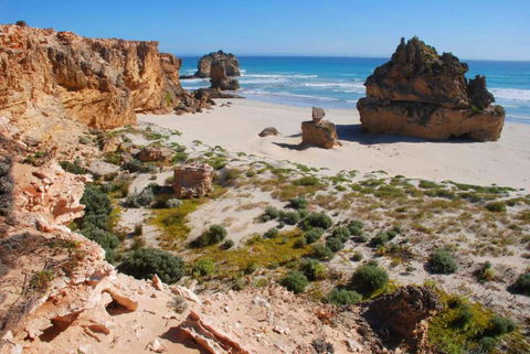 Nal-a-wort Campground - Canunda National Park - Accommodation Georgetown 1