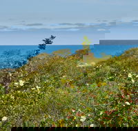 Preston Beach Front Apartment - Accommodation Georgetown