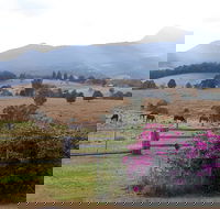 The Barn  House Farm Stay at Possum Manor - Accommodation Georgetown