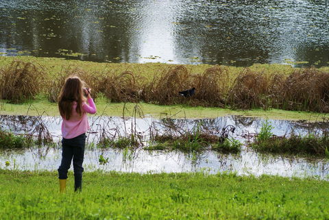 Wilga Hotel - Accommodation Georgetown 0