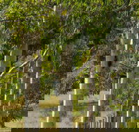 Stringybark Cottages - Accommodation Georgetown