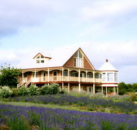 Serendipity Lavender Farm - Accommodation Georgetown