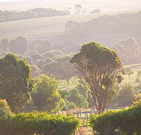 Mackas Farm - Accommodation Georgetown