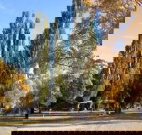 Omeo Caravan Park - Accommodation Georgetown