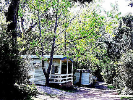 Flinders Caravan Park - Accommodation Georgetown 0