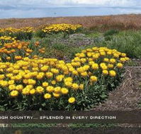 Alpine View Apartments