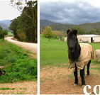 Emerald Park Holiday Farm - Accommodation Georgetown