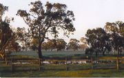 Ardwick Homestead - Accommodation Georgetown 1