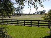 Ardwick Homestead - Accommodation Georgetown 2