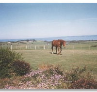 First Class Bed and Breakfast