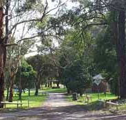Moe Gardens Caravan Park - Accommodation Georgetown