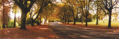 La Trobe At Beechworth - Accommodation Georgetown 0