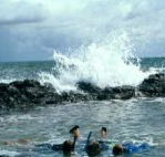 Bargara Beach Motor Inn - Accommodation Georgetown