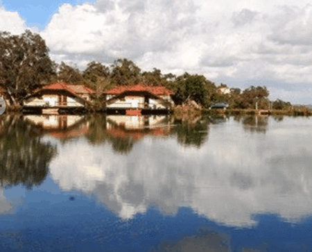 Lakeside Country Resort - Accommodation Georgetown