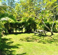 Wooli Caravan Park - Accommodation Georgetown