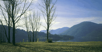 Ashton Townhouse Motel & Suites Tumut - Accommodation Georgetown 3