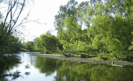 Ribbonwood Cottages - Accommodation Georgetown