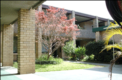 Amg Ryde Sydney - Accommodation Georgetown 0