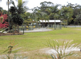 Minnie Water Holiday Park - Accommodation Georgetown 5