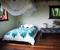 Coorabell ACT Accommodation Georgetown