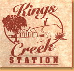 Kings Creek Station - Accommodation Georgetown