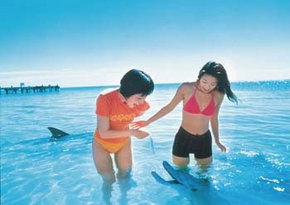  Accommodation Georgetown