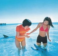 Kookaburra Air - Accommodation Georgetown