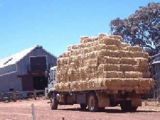 Avondale Discovery Farm - Accommodation Georgetown 1