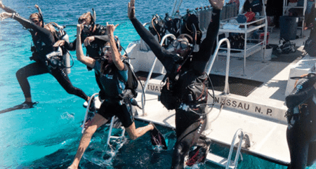 Snorkel Safari Brisbane - Accommodation Georgetown