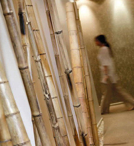 Spa Nirvana - Accommodation Georgetown 0