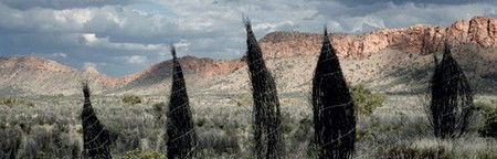 Australian Galleries - Accommodation Georgetown 3