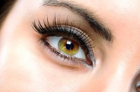 Beauty On Ryrie - Accommodation Georgetown 1