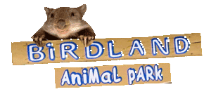 Birdland Animal Park - Accommodation Georgetown